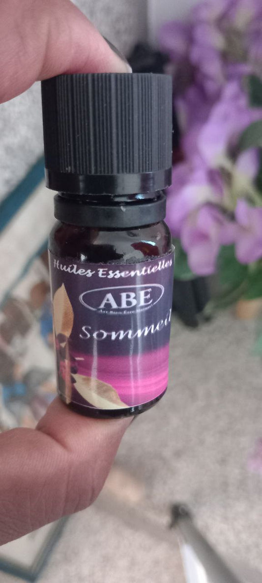 L'Action Directe Synergie H.E. Nuit Paisible