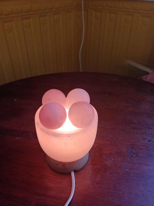 Lampe de Sel de l’Himalaya “Zen Massage 4 Boules