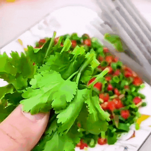 SlicePro Inox – Outil de Découpe Herbes & Algues