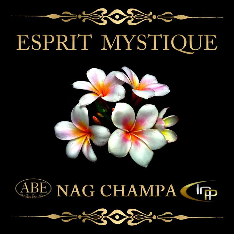 Collection Bougies Esprit Mystique Cire de Soja 180g – 5 Parfums pour Purification & Méditation.