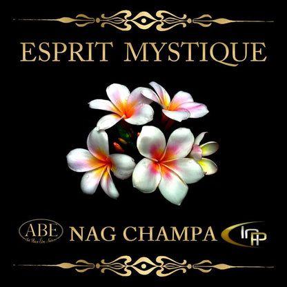 Collection Bougies Esprit Mystique Cire de Soja 180g – 5 Parfums pour Purification & Méditation.