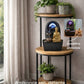 Fontaines d'Intérieur Zen & Feng Shui : Cascades Relaxantes & Décoration Apaisante